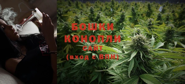 PSILOCYBIN Иннополис