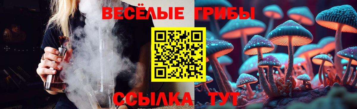 Галлюциногенные грибы MAGIC MUSHROOMS Георгиевск