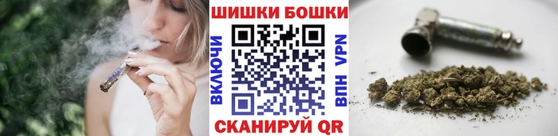 Бошки Шишки ГИДРОПОН  купить закладку  Георгиевск 